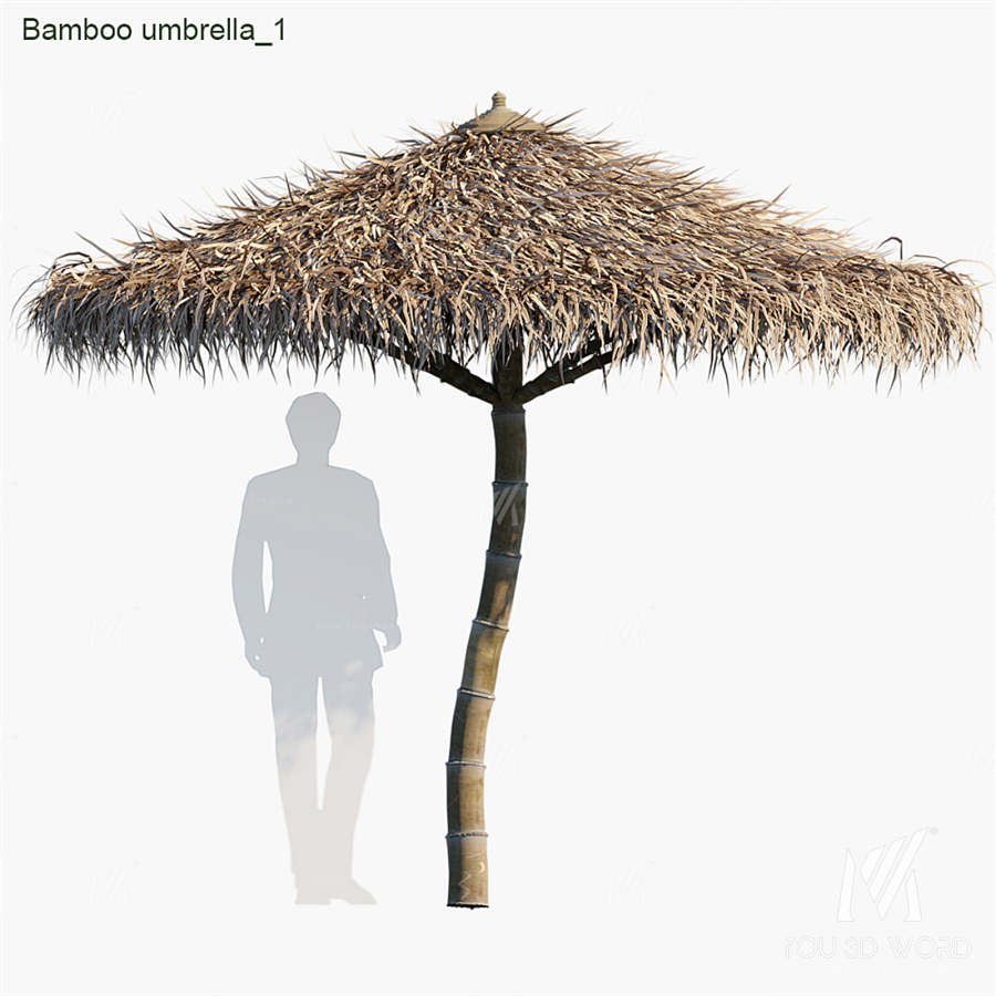 Bamboo umbrella tropical style 01
